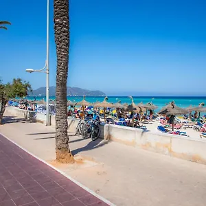 Dofi Cala Millor (Mallorca)